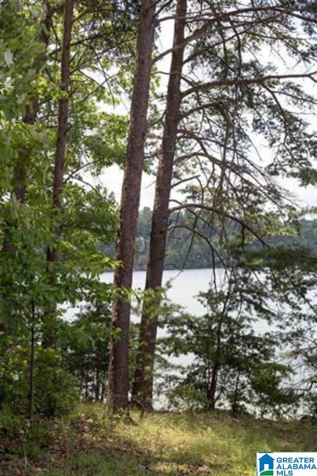 195 Co Road, Unit LOT Nauvoo, AL 35578 - Photo 3 of 3