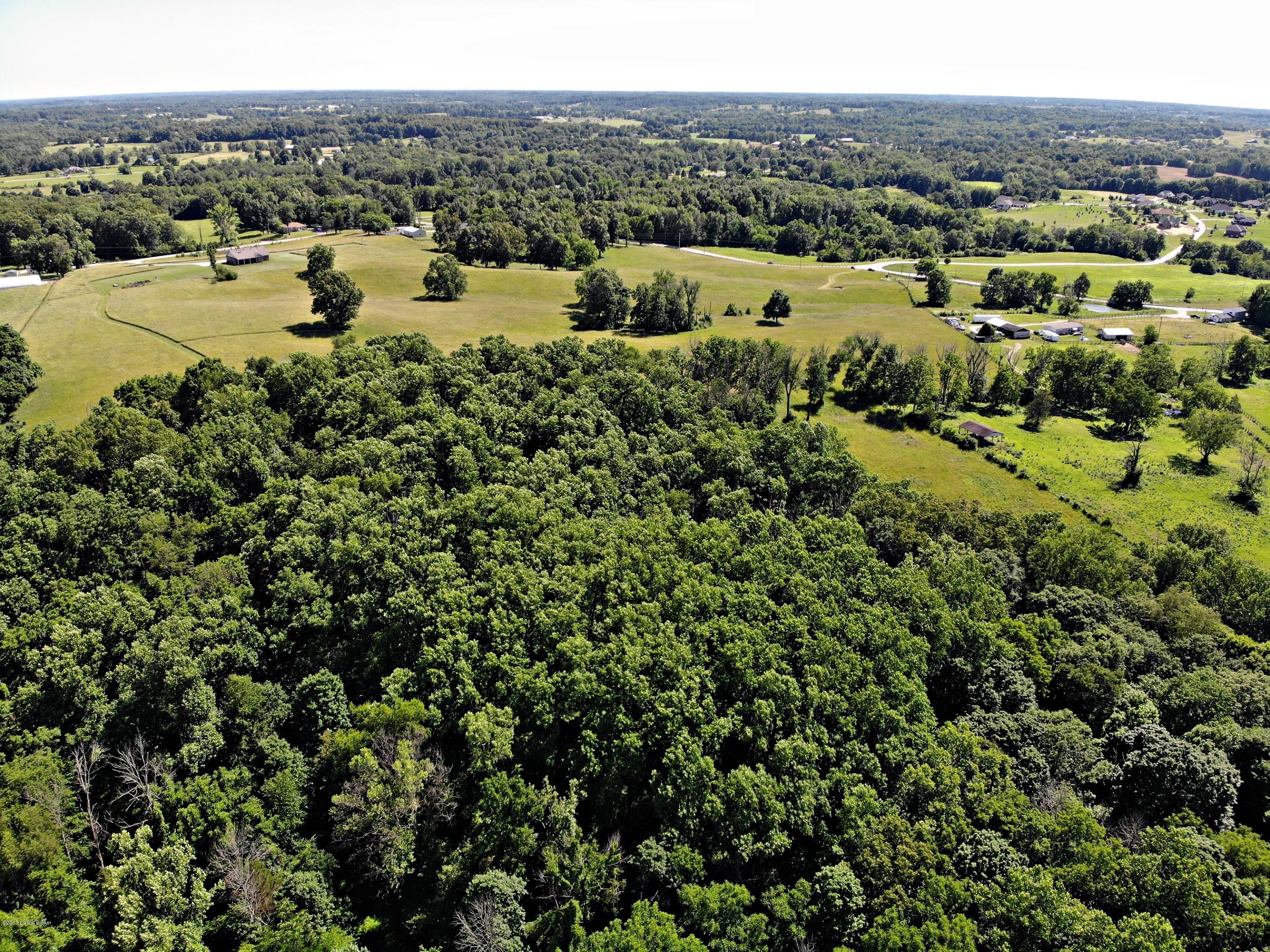 1300 Evergreen Road Frankfort, KY 40601 - Photo 8 of 9 aerial