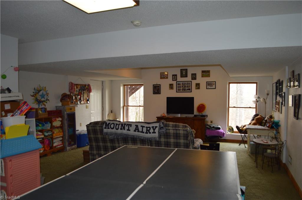 551 Jackson Rd Extension Mount Airy, NC 27030 - Photo 25 of 49 Lower Level has den, large unheated room, full bath and workshop.