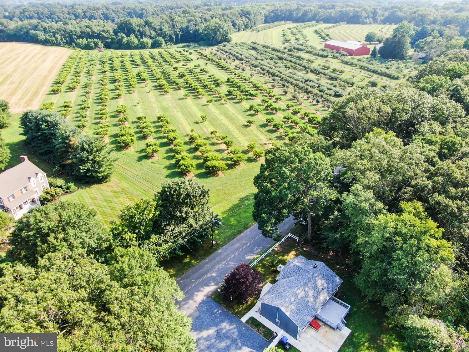 309 Ellisdale Road Chesterfield, NJ 08515 - Photo 30 of 31