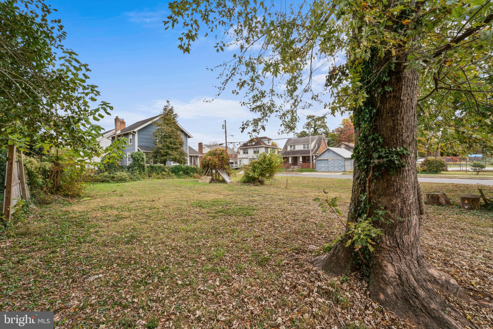 264 East Broadway Salem, NJ 08079 - Photo 50 of 51 a view of a yard with a tree