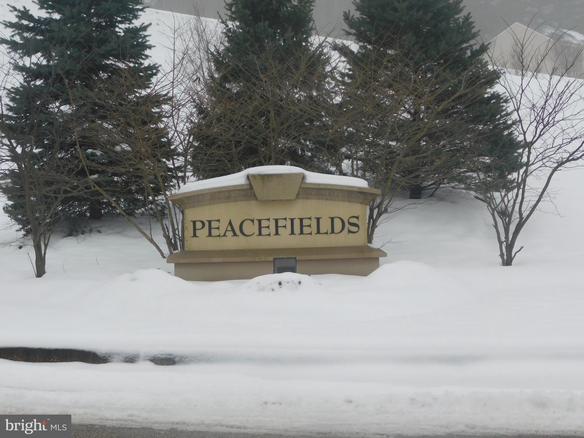 337 Bruaw Drive York, PA 17406 - Photo 23 of 23