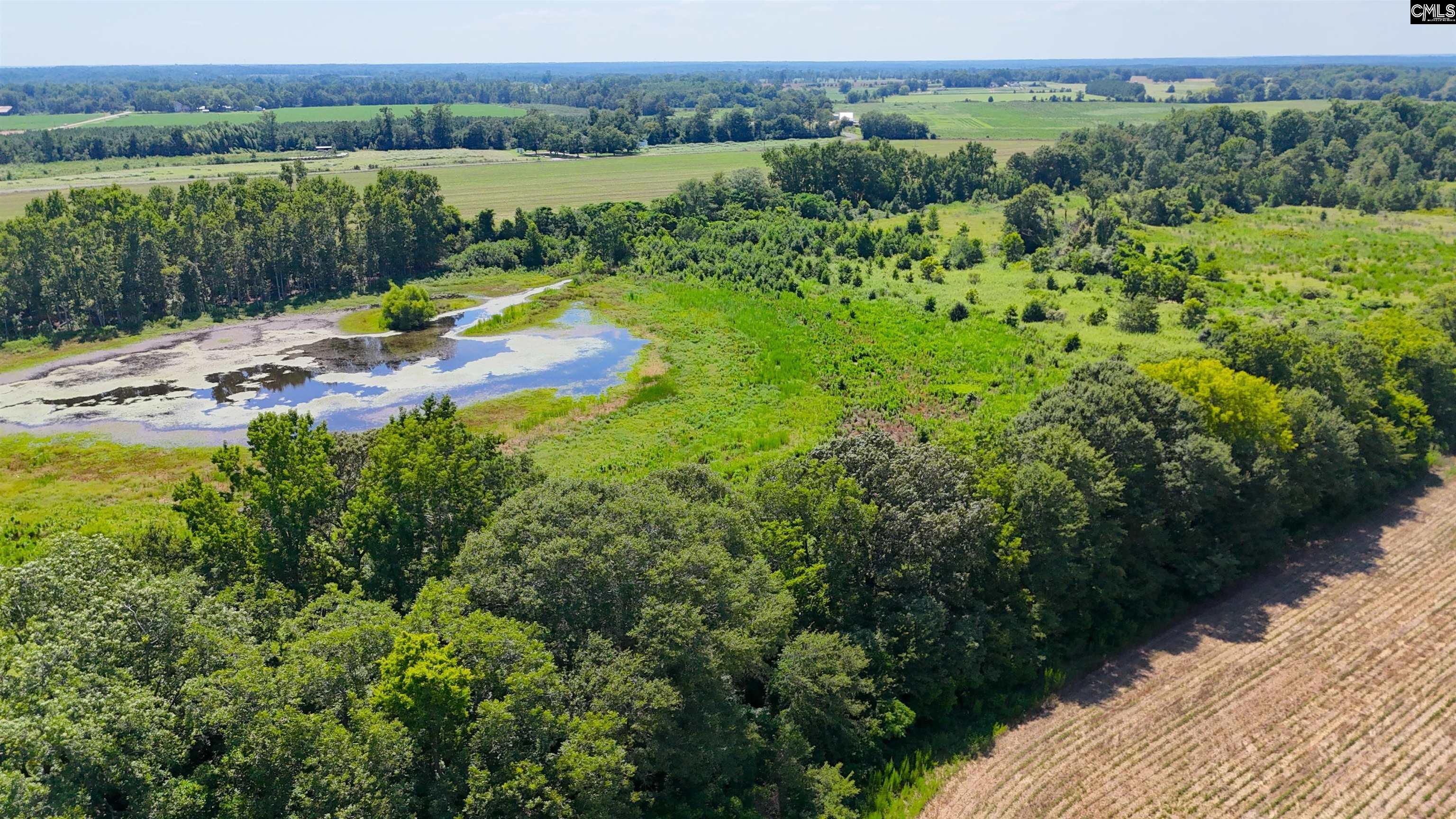 0 Joes Trail Road Monetta, SC 29105 - Photo 11 of 11