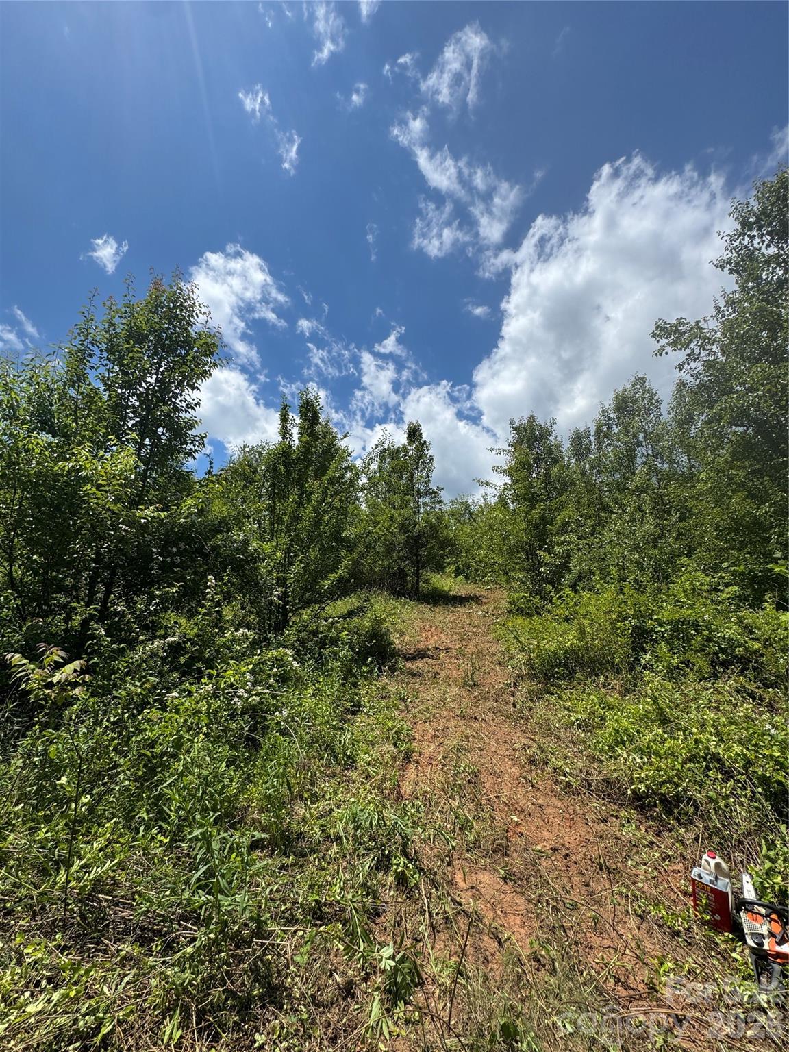Tbd Duckett Road Candler, NC 28715 - Photo 13 of 17