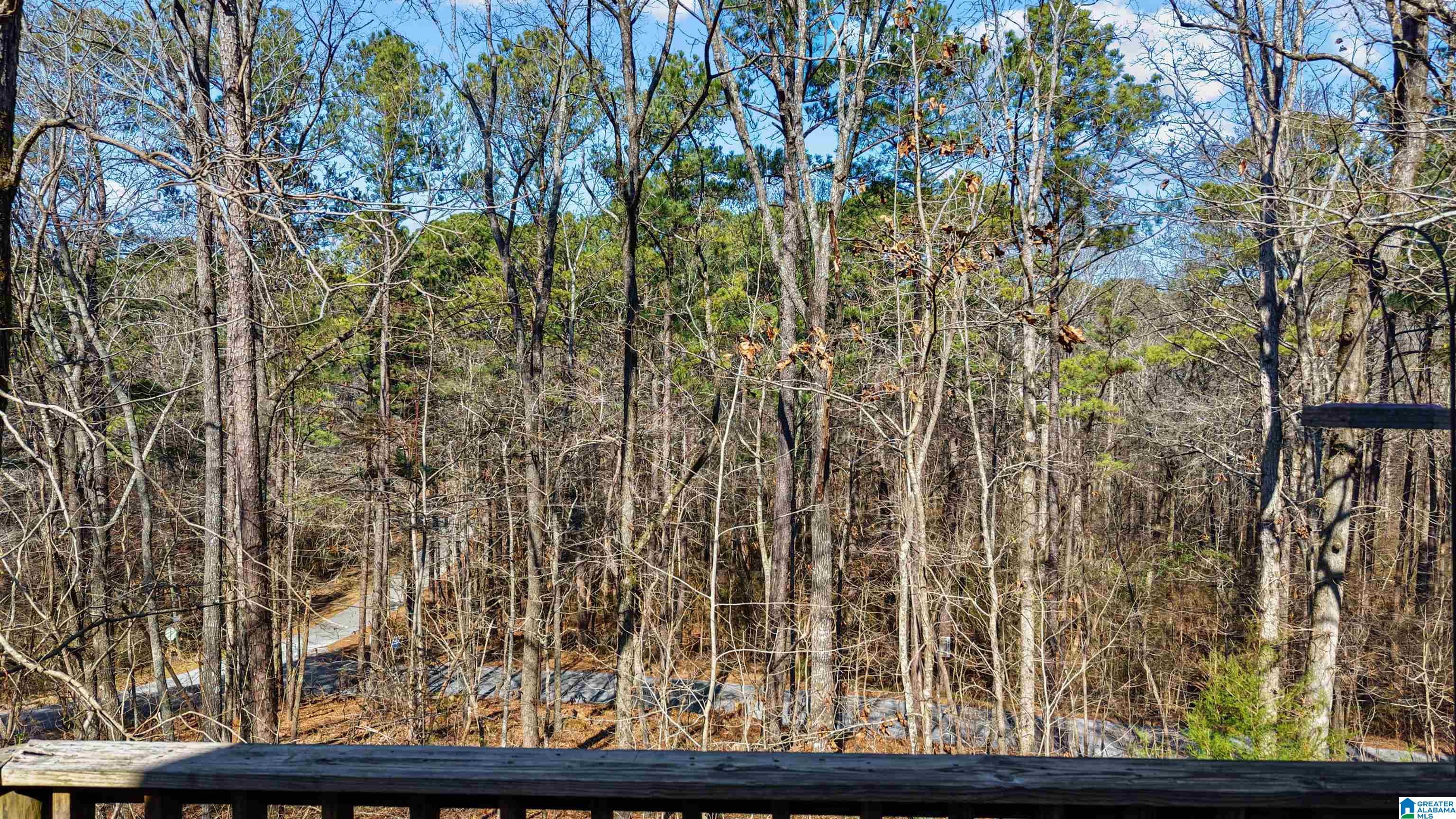 266 Davis Acres Drive Alpine, AL 35014 - Photo 60 of 60