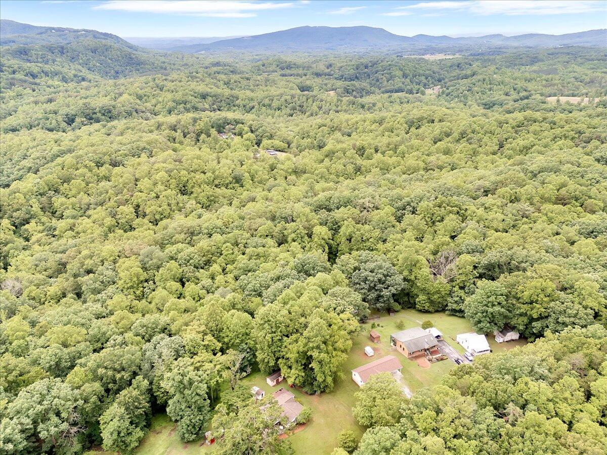 4131 Rutrough Road Southeast Roanoke, VA 24014 - Photo 37 of 42 a view of a lush green field with a mountain in the background