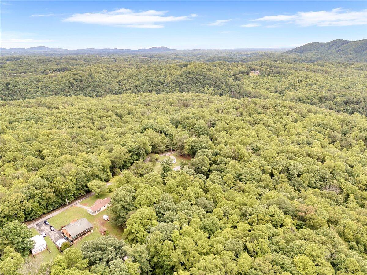 4131 Rutrough Road Southeast Roanoke, VA 24014 - Photo 40 of 42 a view of lake view and mountain