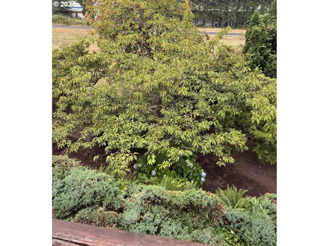 a picture of a bench in a balcony