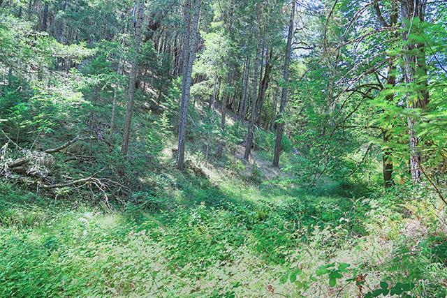 10527 Lower River Road Grants Pass, OR 97526 - Photo 29 of 31 Additional Photo