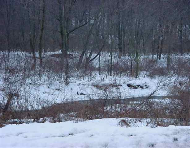 546 A Patrick Road Seward, NY 12043 - Photo 3 of 4 Photo 3