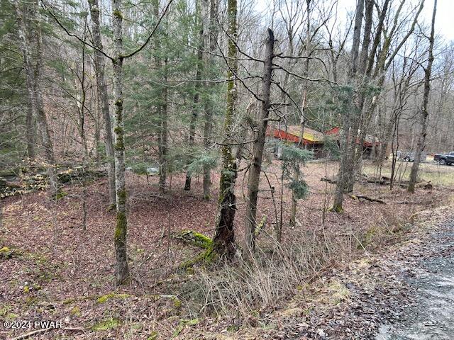 141 Creamery Road Pleasant Mount, PA 18453 - Photo 14 of 23 61384D97-8F16-46A1-8C05-6740468F2FF4