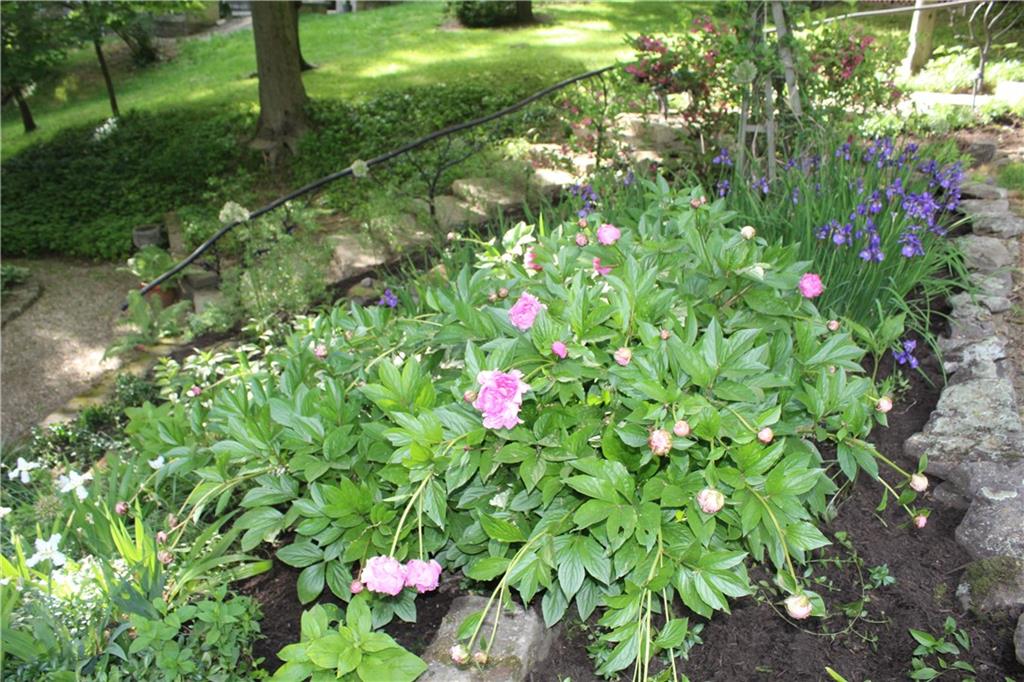 325 Sycamore Road Sewickley, PA 15143 - Photo 44 of 49 a view of flowers in a garden