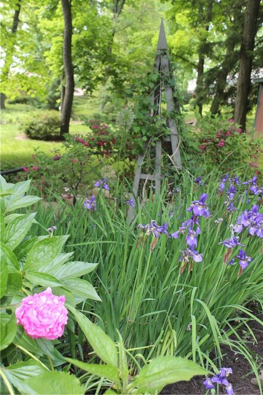 325 Sycamore Road Sewickley, PA 15143 - Photo 45 of 49 a small yard with lots of flower plants