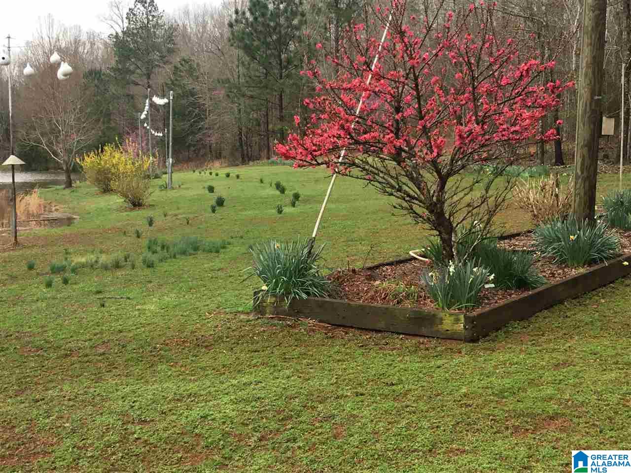9276 County Road 2 Waverly, AL 36879 - Photo 28 of 38