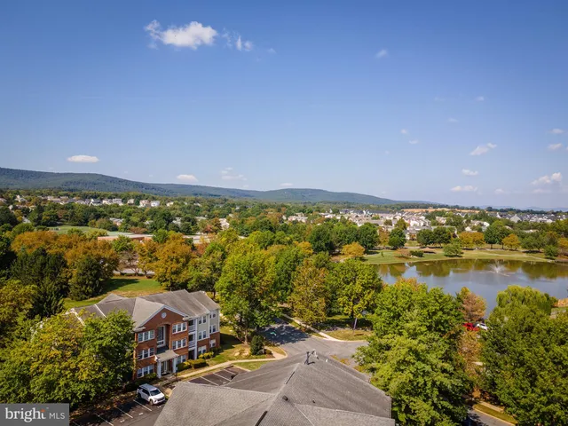 a view of a lake with houses in the background