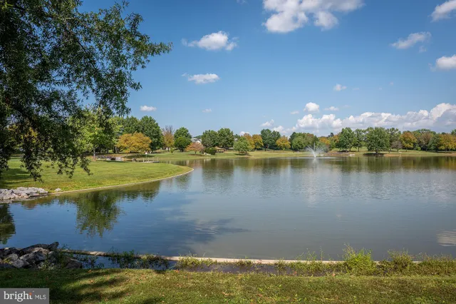 a view of a lake with a city
