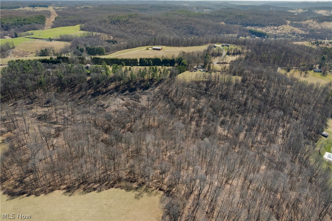 Boy Scout Road Northeast Dover, OH 44622 - Photo 6 of 11