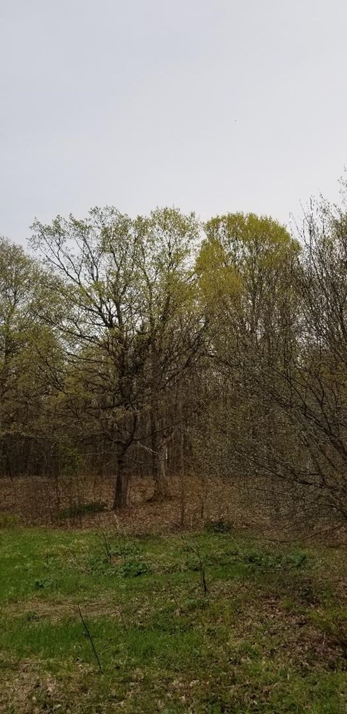 . Tacey Road Ellenburg Center, NY 12934 - Photo 17 of 44