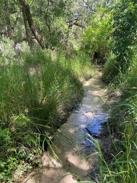 0 Wise Owl Road Brooksville, FL 34602 - Photo 2 of 4 Gallery Image 2
