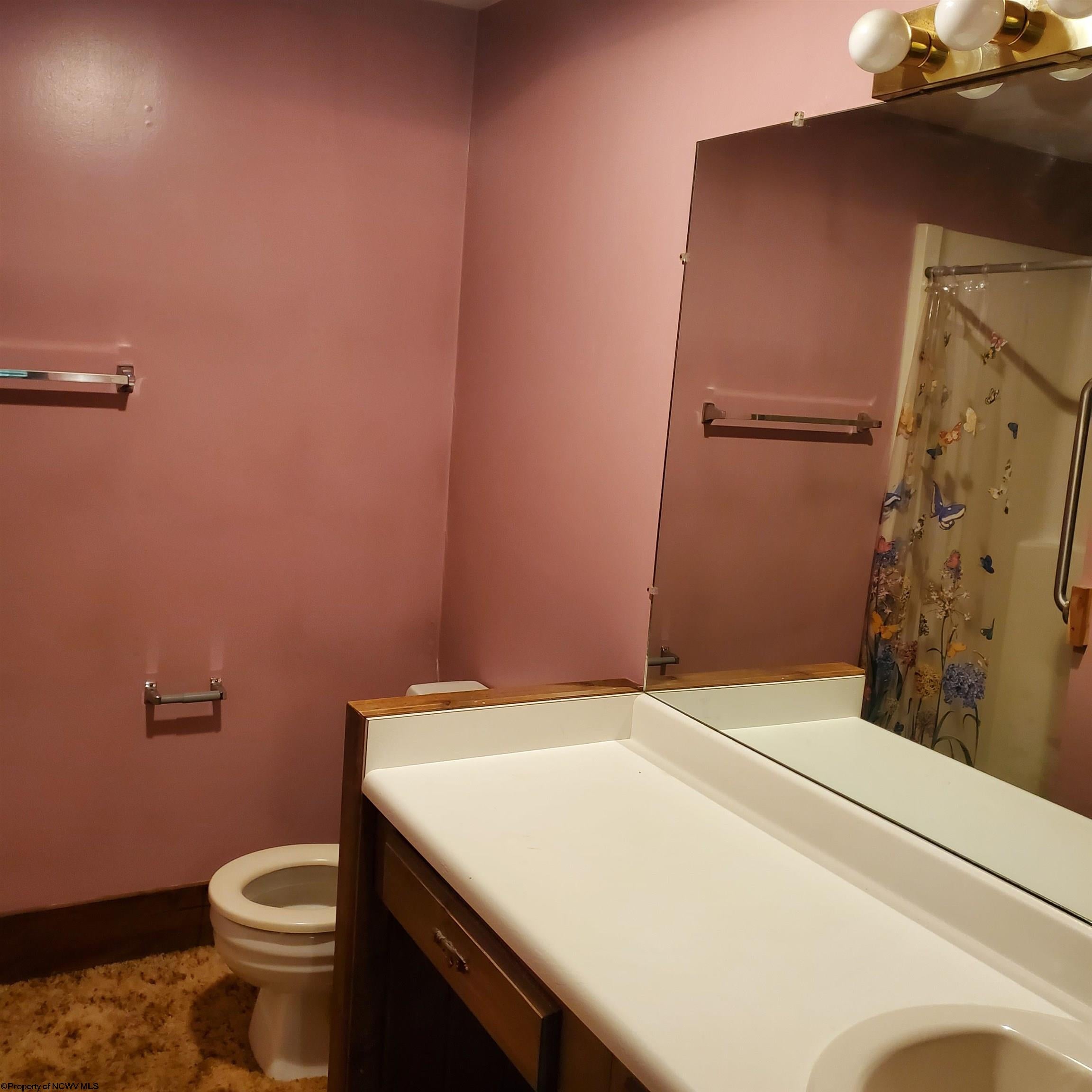 4271 Cravens Run Road Elkins, WV 26241 - Photo 11 of 27 Gallery Image 11