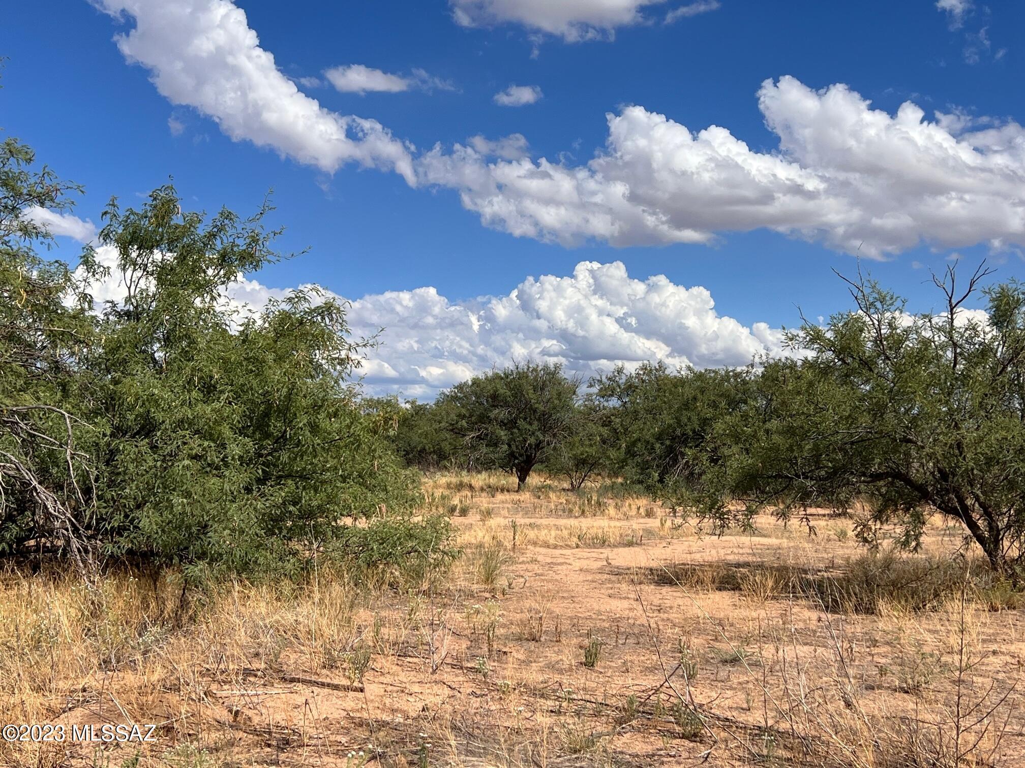 6.32-ac North Skyline Road, Unit 268 Pearce, AZ 85625 - Photo 11 of 17