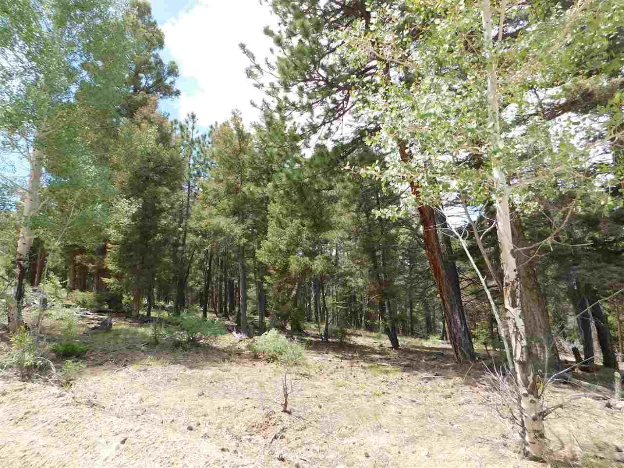 2735 Sesame Road Fort Garland, CO 81133 - Photo 1 of 5 Gallery Image 1