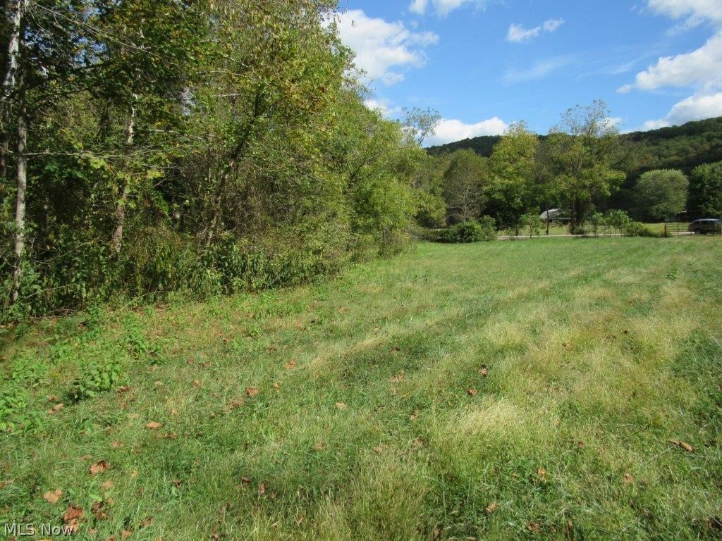 Garfield Road Palestine, WV 26160 - Photo 2 of 14