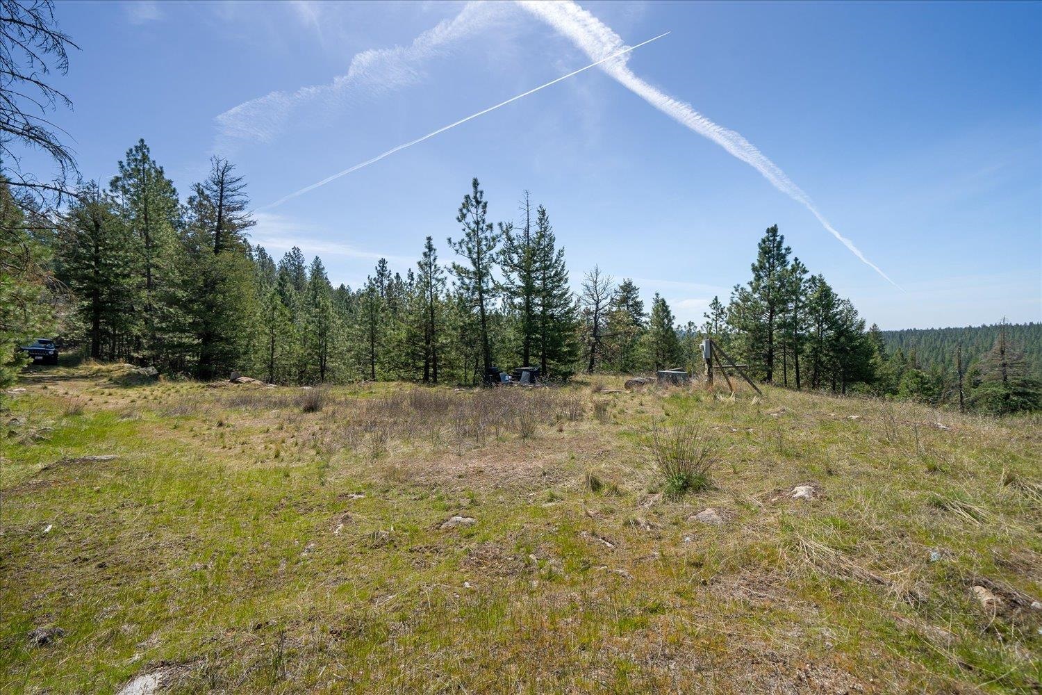 5625 East Grouse Road Chattaroy, WA 99003 - Photo 3 of 15