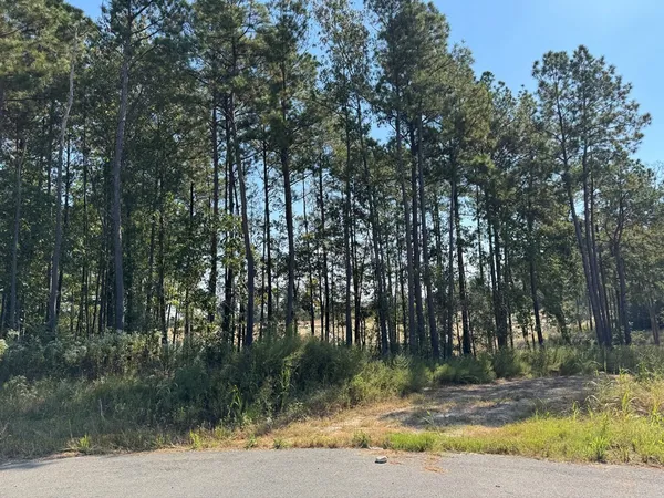 $68,000 | 129 Yaupon Court, Lufkin, TX 75904