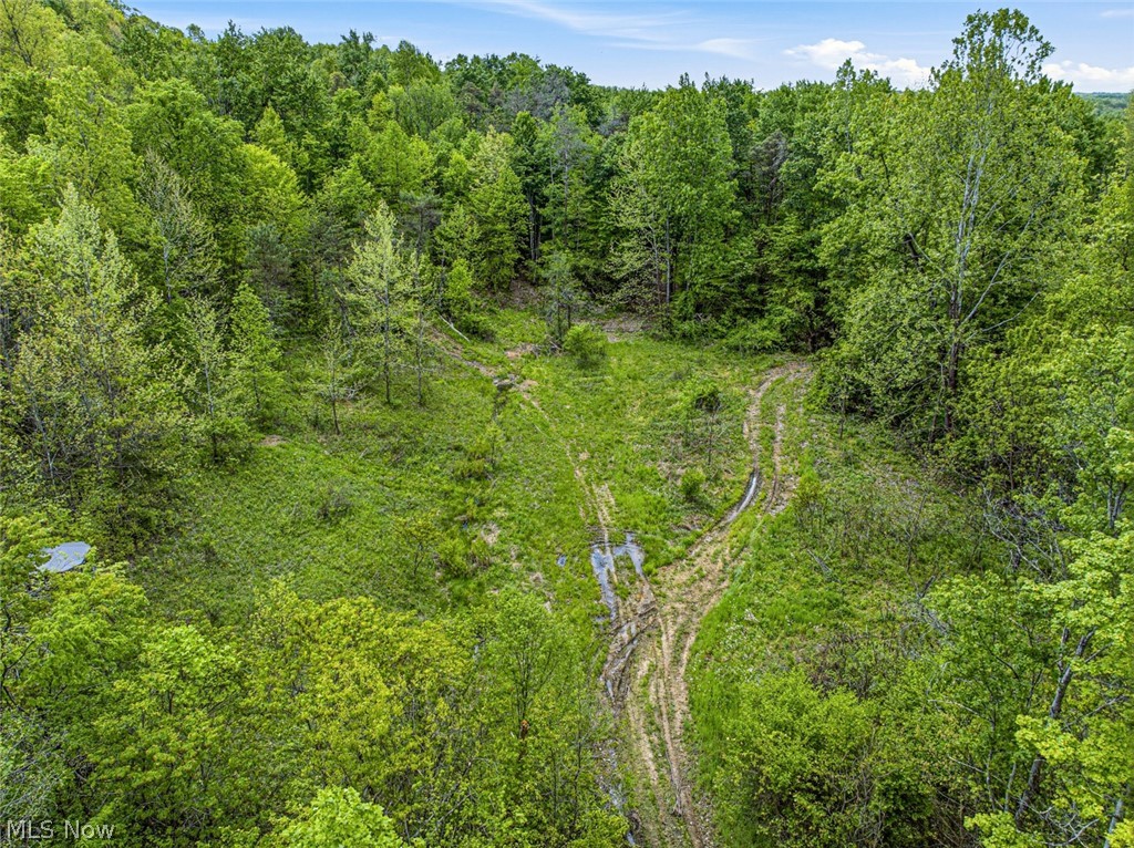 95-acres Newlon Road Malta, OH 43758 - Photo 16 of 18