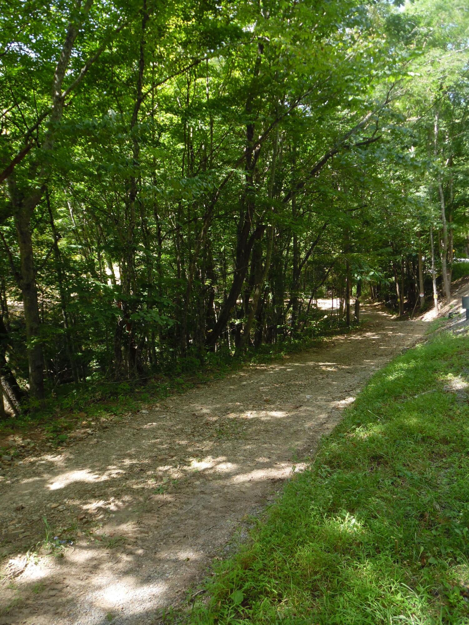 6234 Edray Road Cass, WV 24927 - Photo 48 of 66 Gallery Image 48