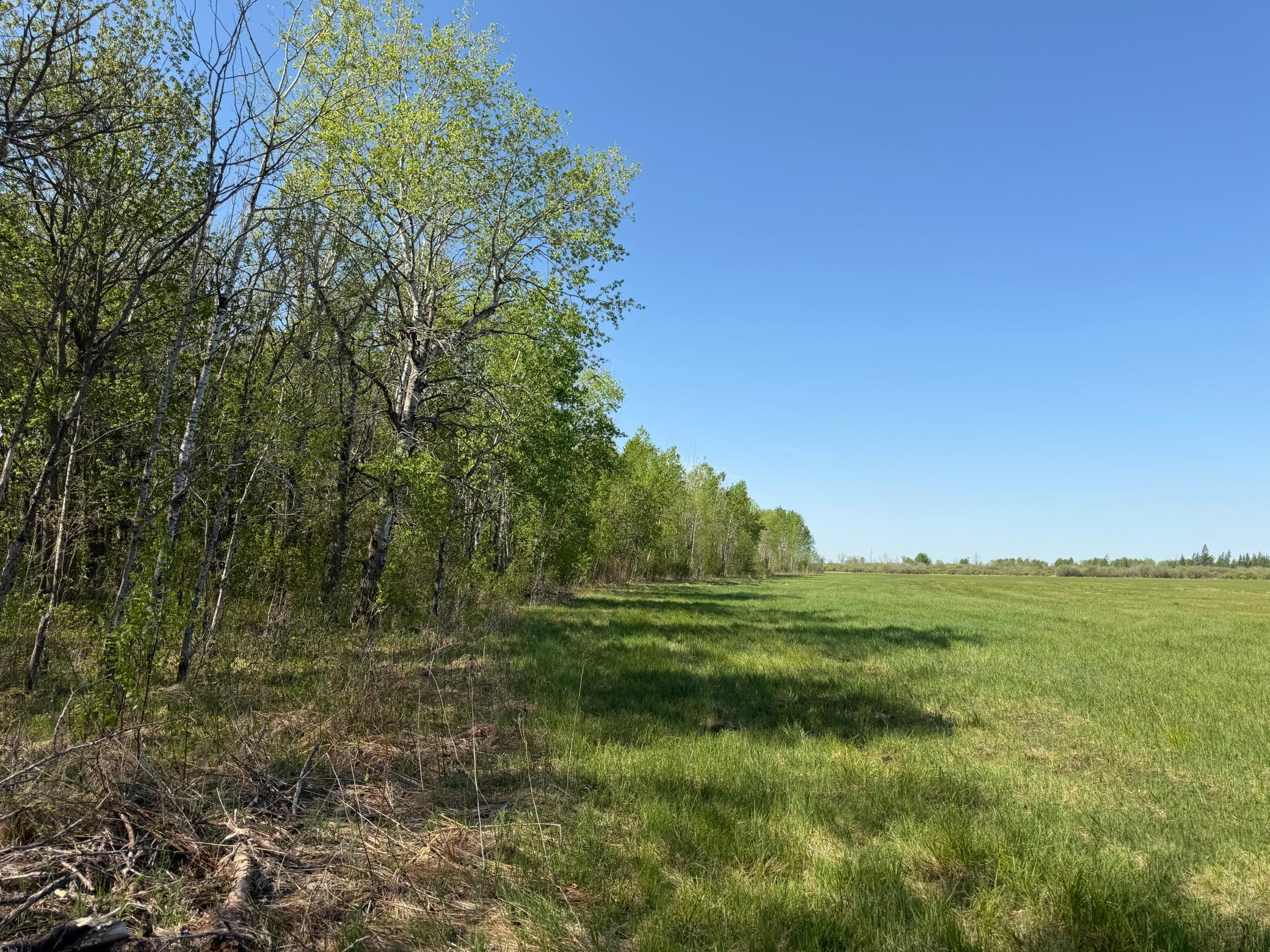 14 Sebeka Mn 56477 Sebeka, MN 56477 - Photo 59 of 79