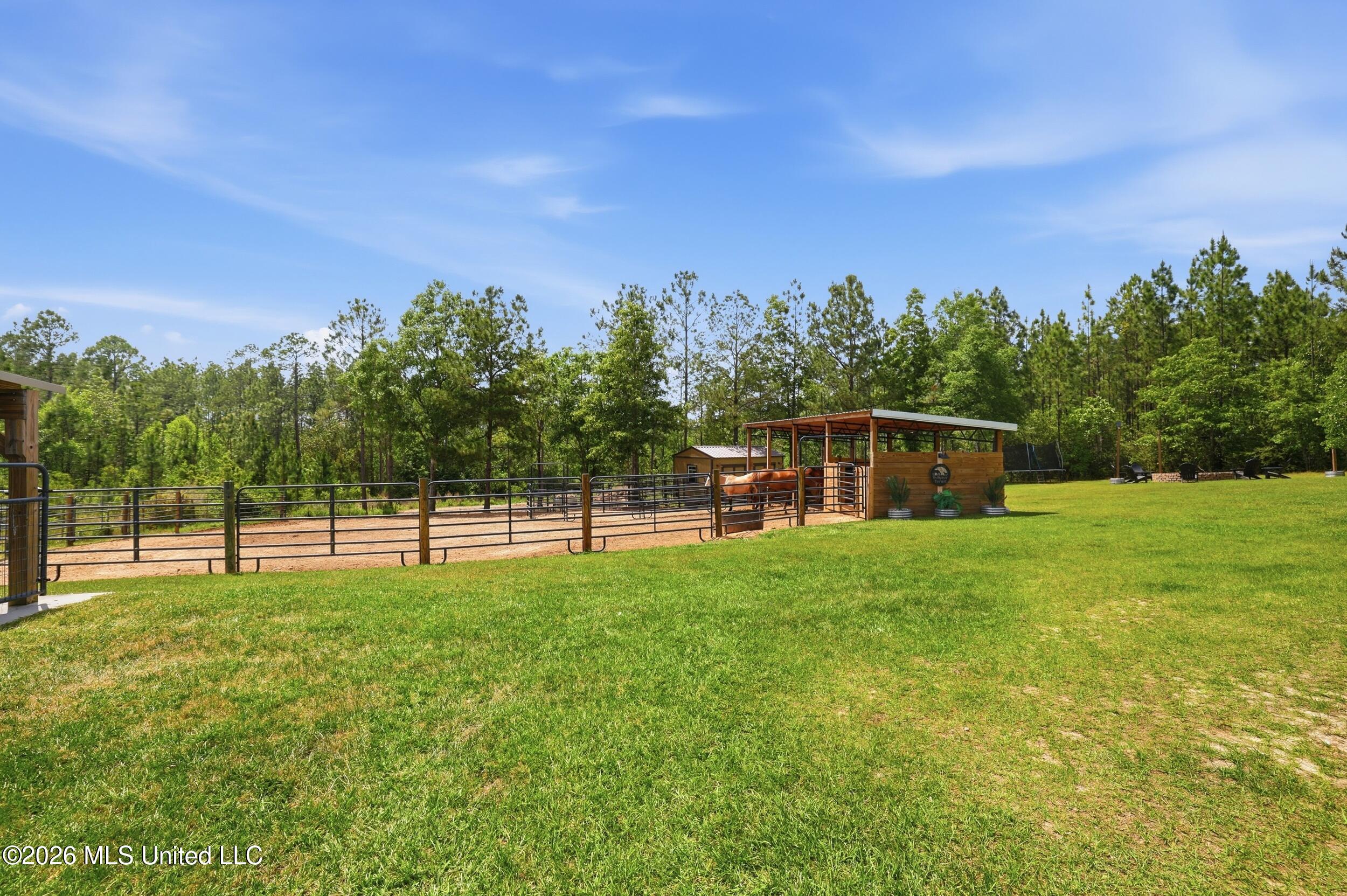 239 M P Parker Road McHenry, MS 39561 - Photo 34 of 55 42_r6__1476