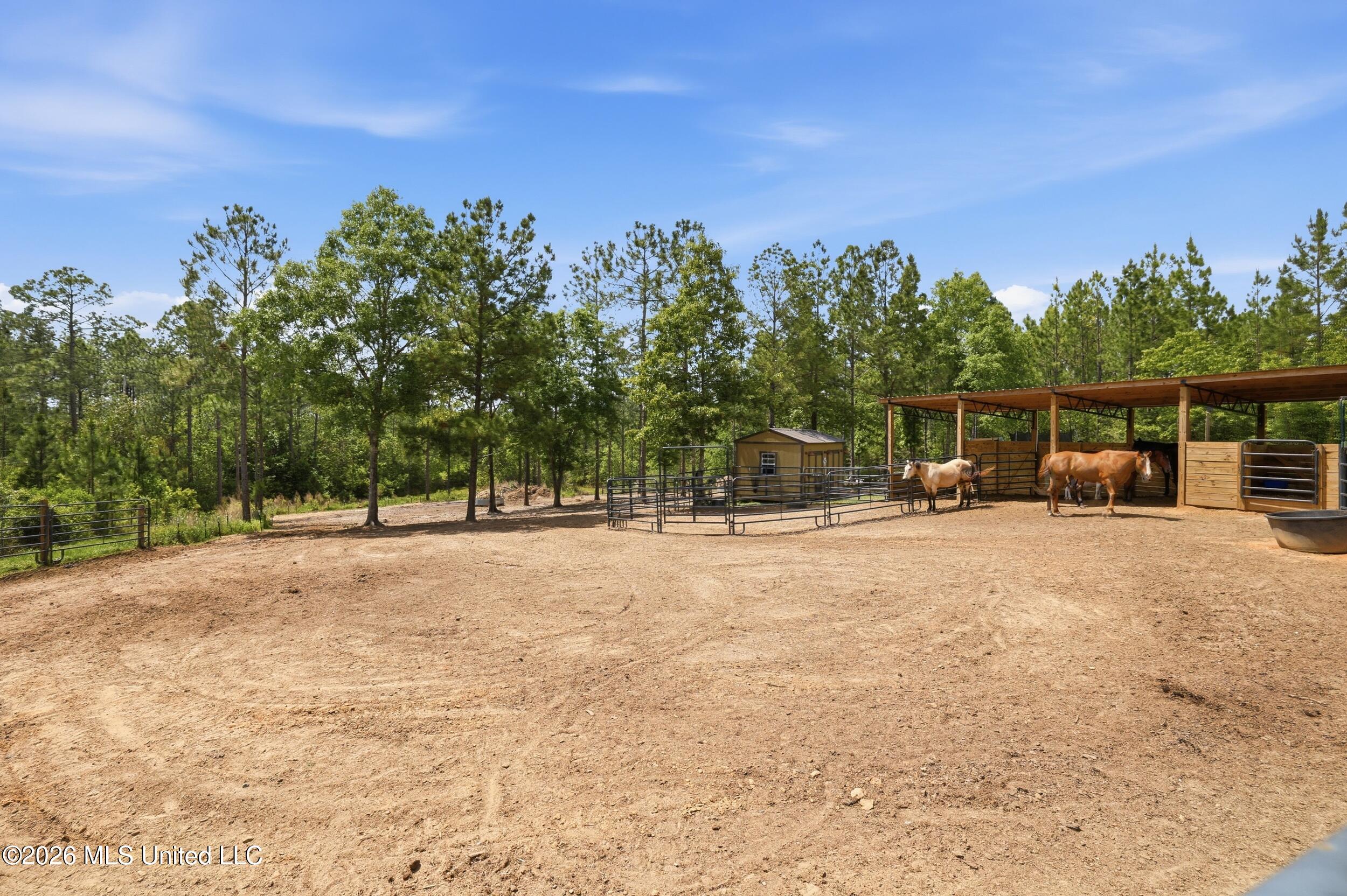 239 M P Parker Road McHenry, MS 39561 - Photo 36 of 55 47_r6__1481