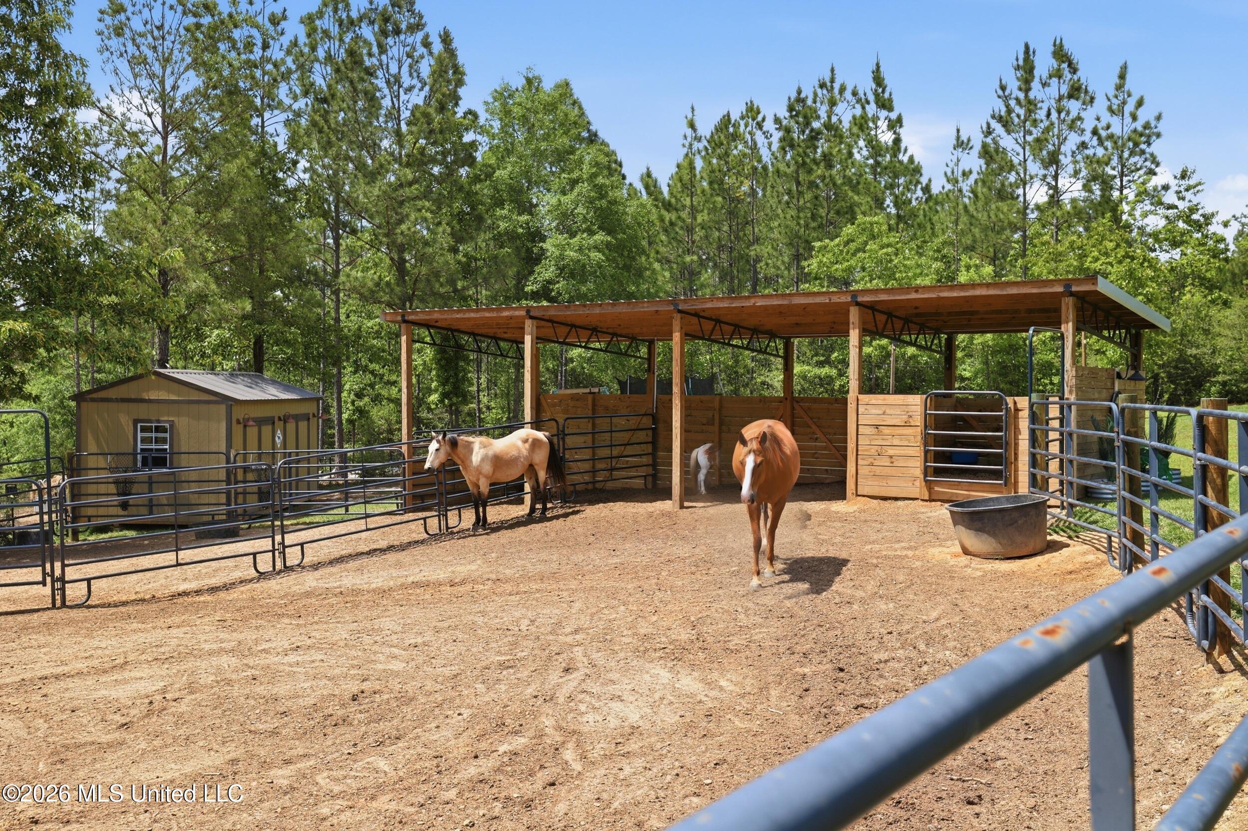 239 M P Parker Road McHenry, MS 39561 - Photo 4 of 55 46_r6__1486