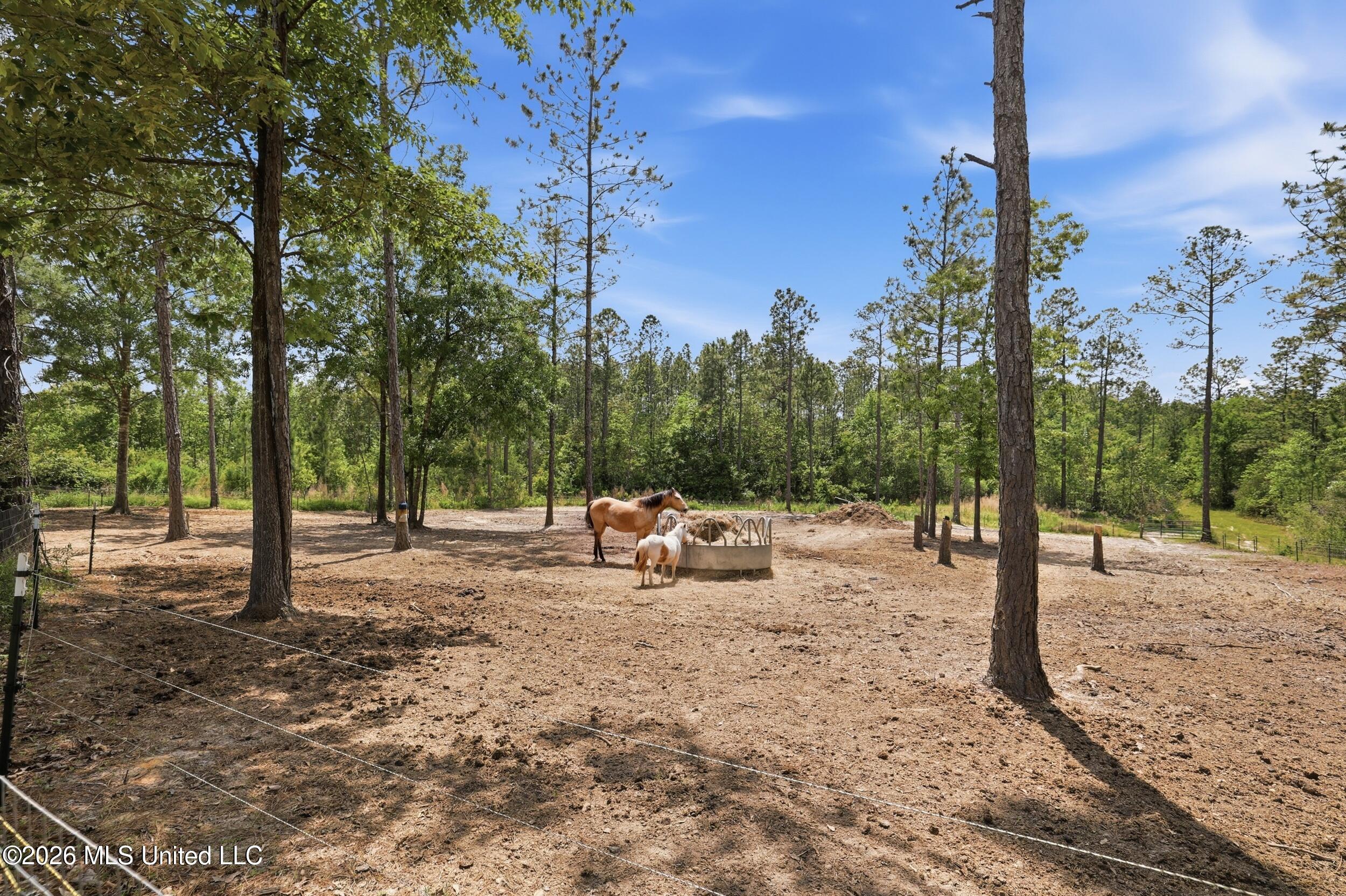 239 M P Parker Road McHenry, MS 39561 - Photo 6 of 55 48_r6__1561