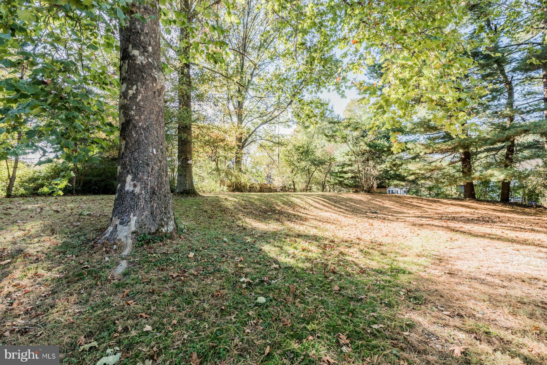 9225 Spring Valley Road Ellicott City, MD 21043 - Photo 22 of 24 Yard