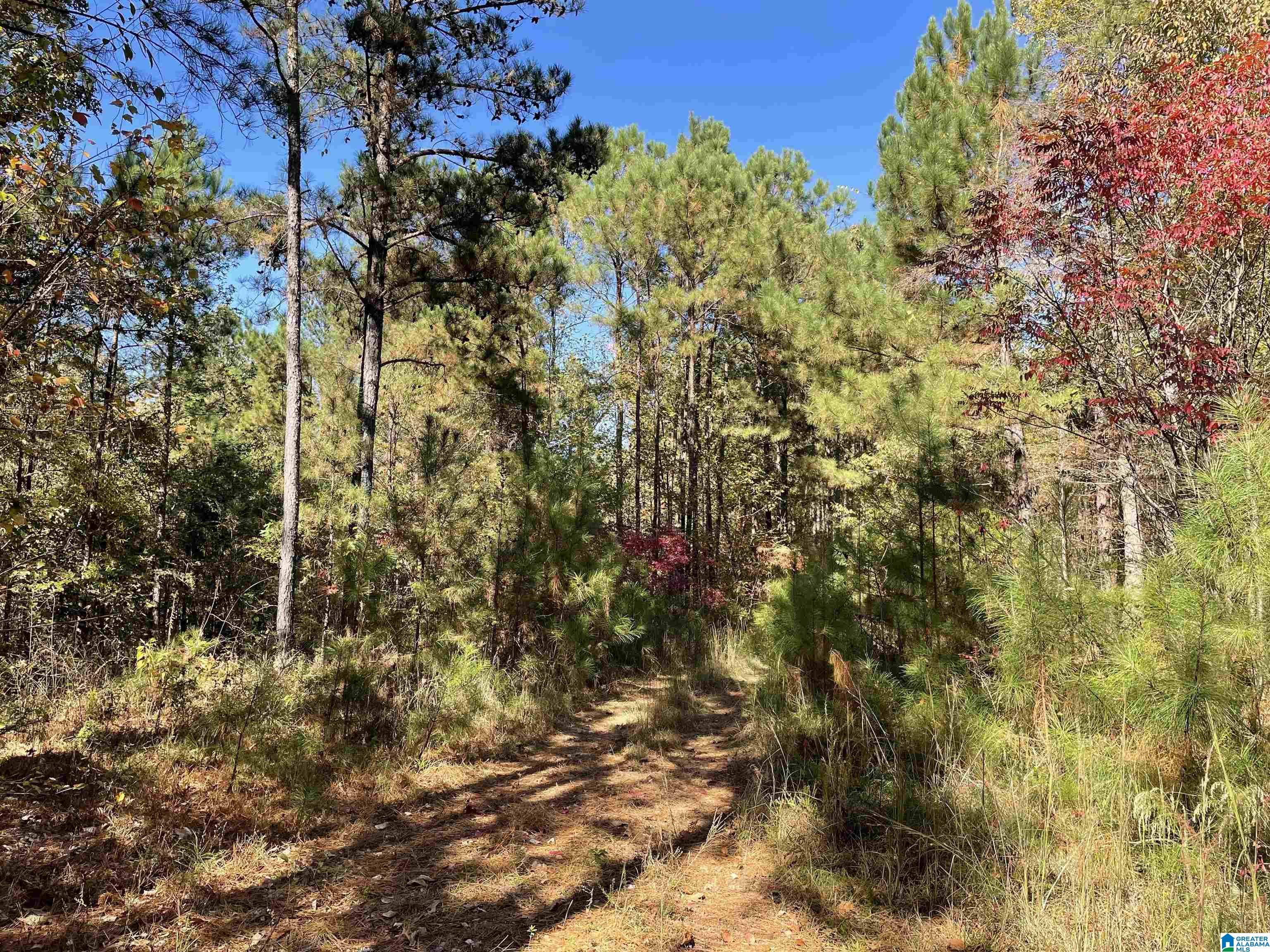 8760 Marsh Mountain Road, Unit 223 Pinson, AL 35126 - Photo 45 of 51