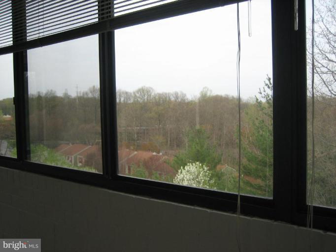 1951 Sagewood Lane, Unit 302 Reston, VA 20191 - Photo 13 of 23 View from Unit