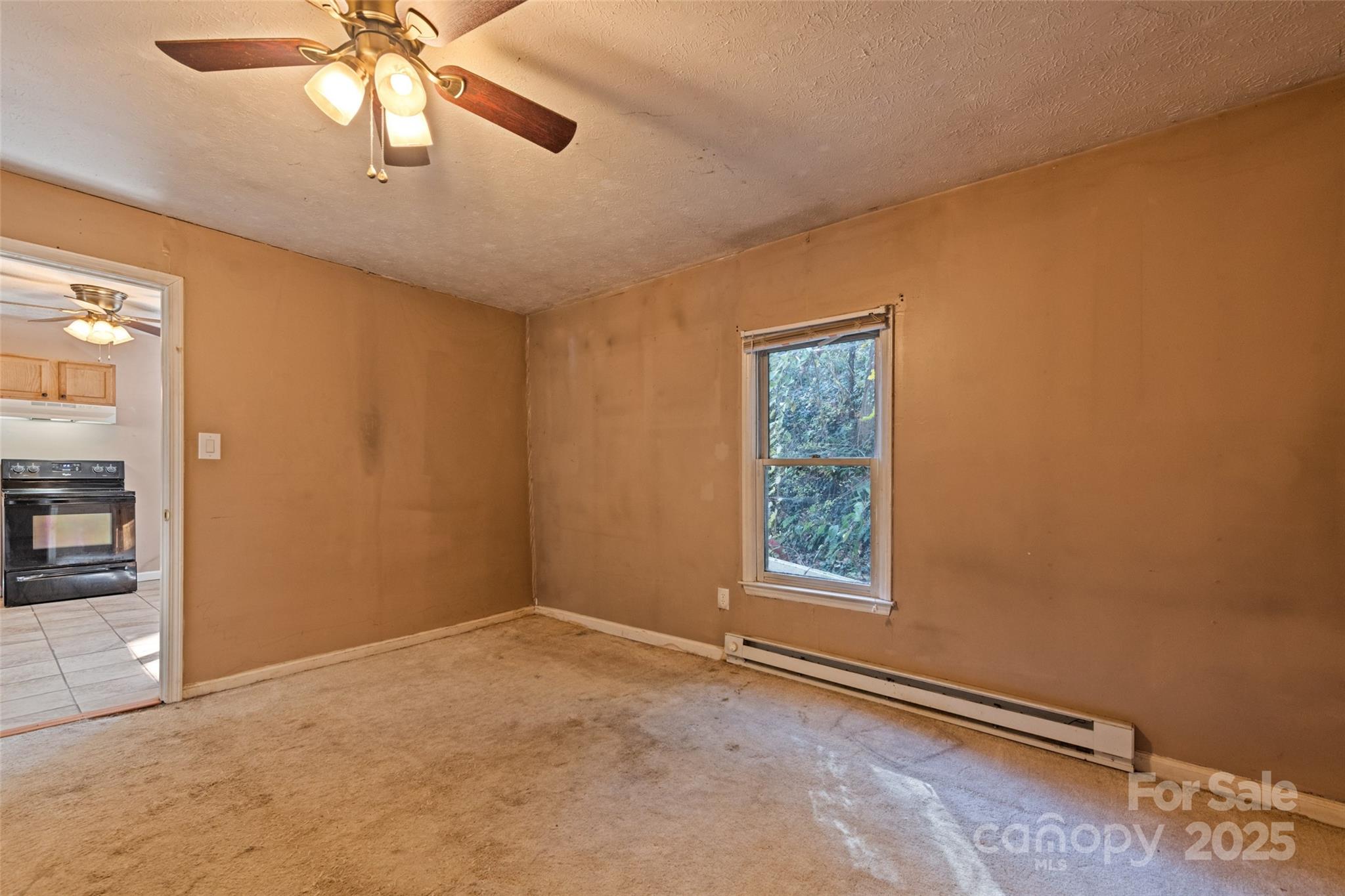 8063 Carolina Boulevard Clyde, NC 28721 - Photo 17 of 18