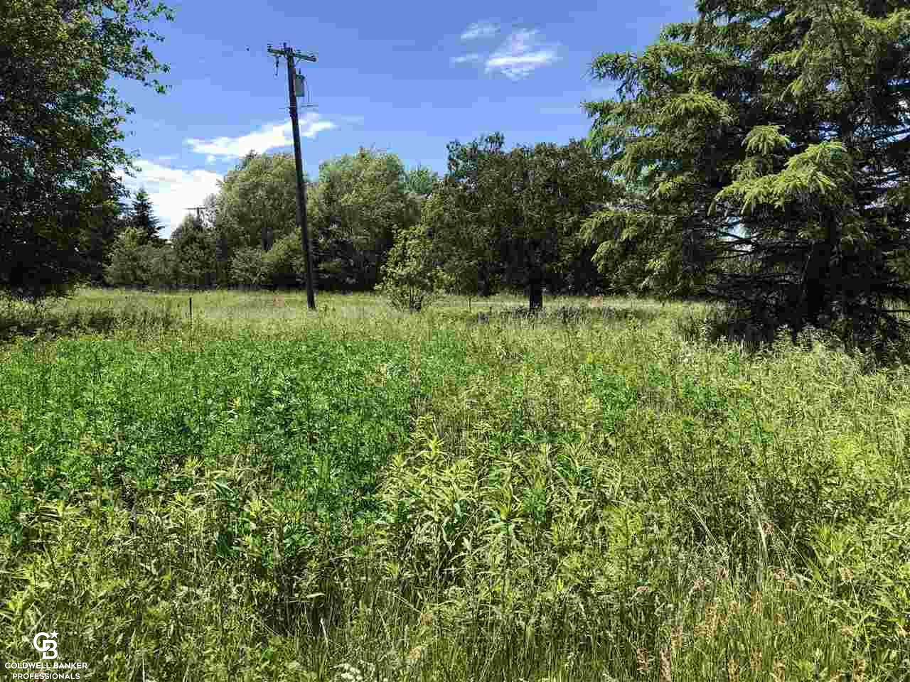 8768 Lapeer Road Mayville, MI 48744 - Photo 11 of 11