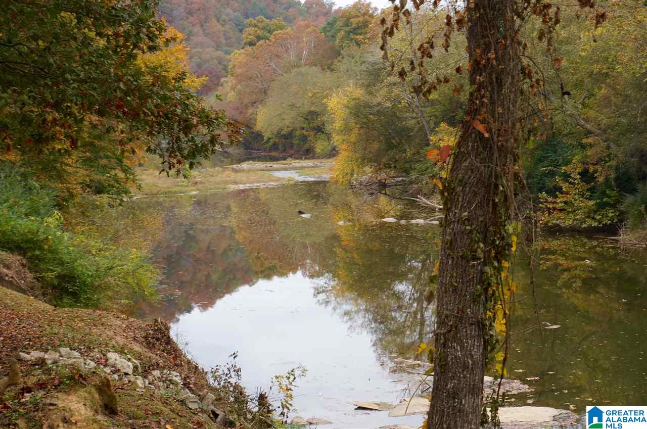130 Creek Grove Road Cleveland, AL 35049 - Photo 3 of 49