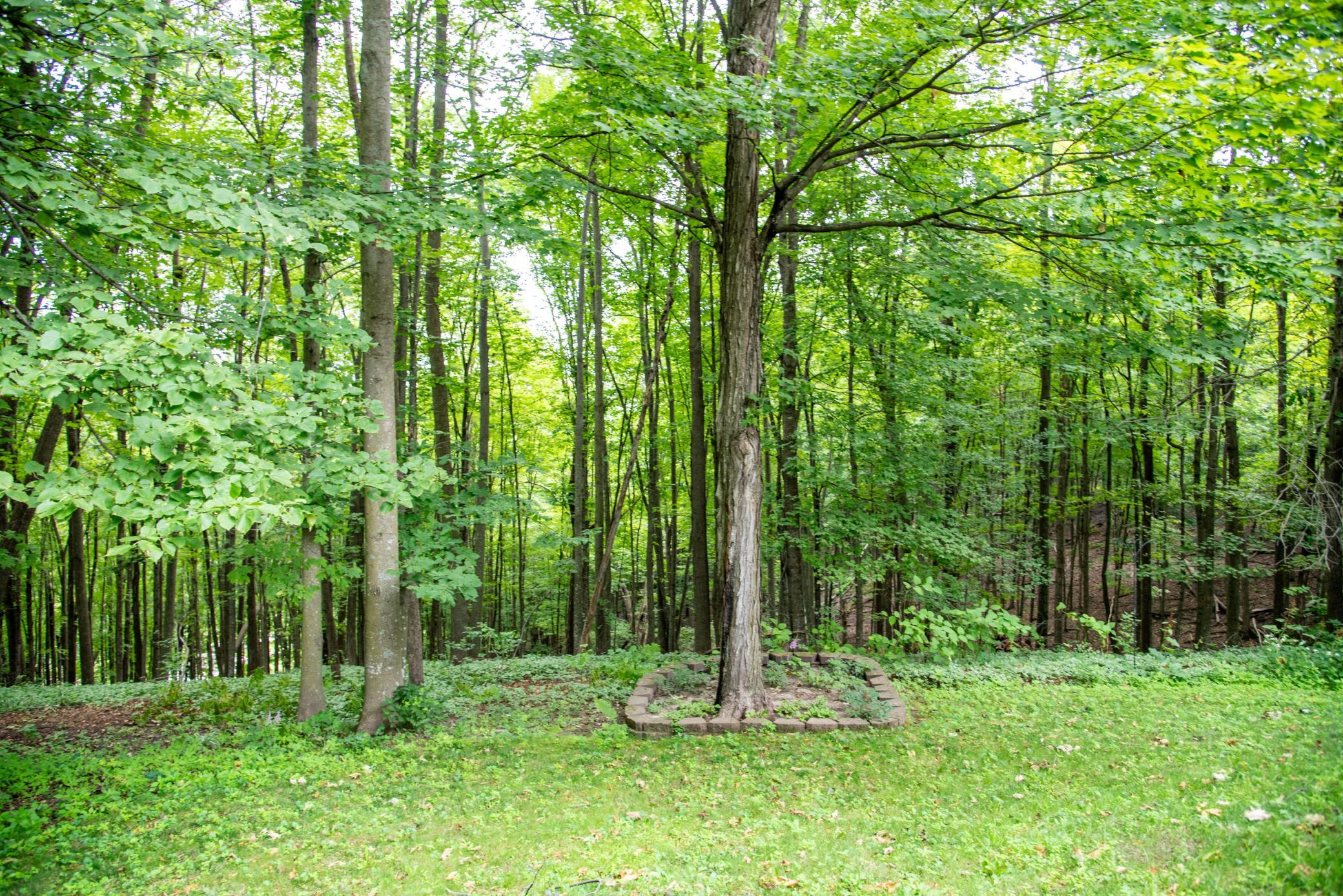 W828 Evergreen Court Spring Valley, WI 54767 - Photo 42 of 42