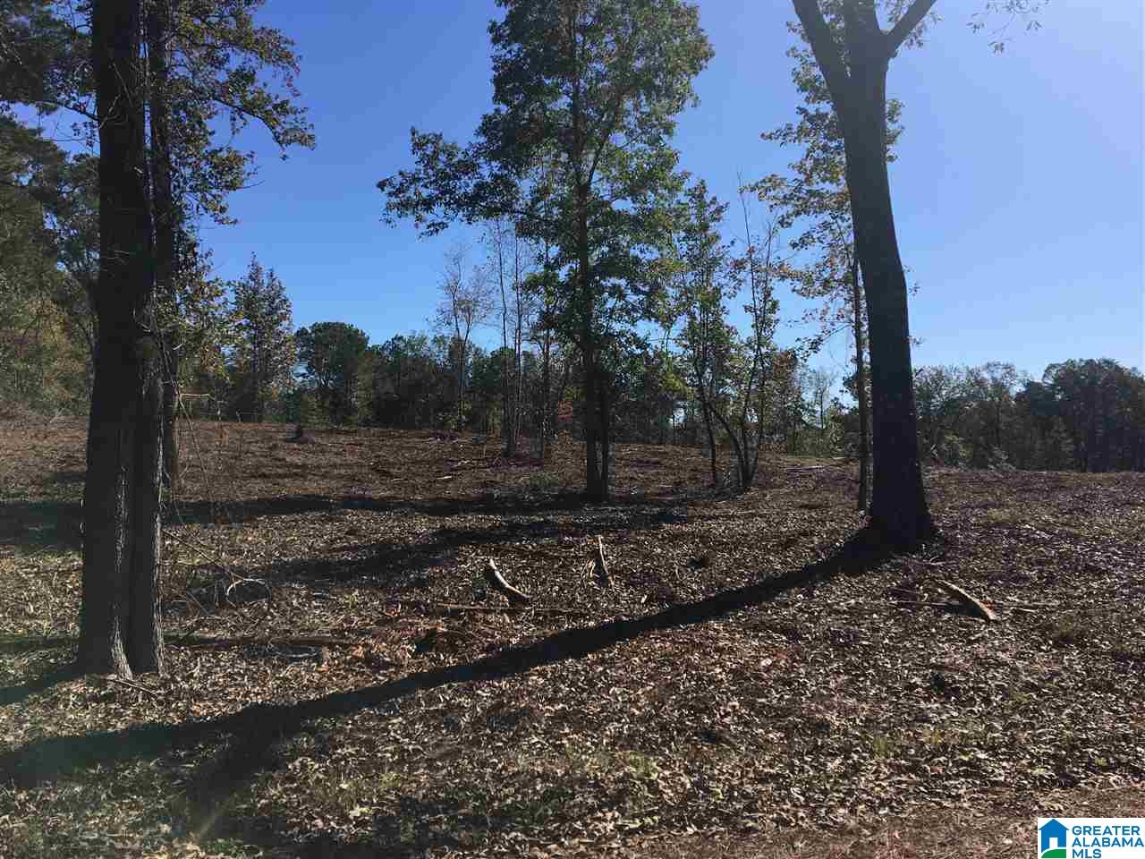9150 Sunview Road, Unit 12 Warrior, AL 35180 - Photo 1 of 6