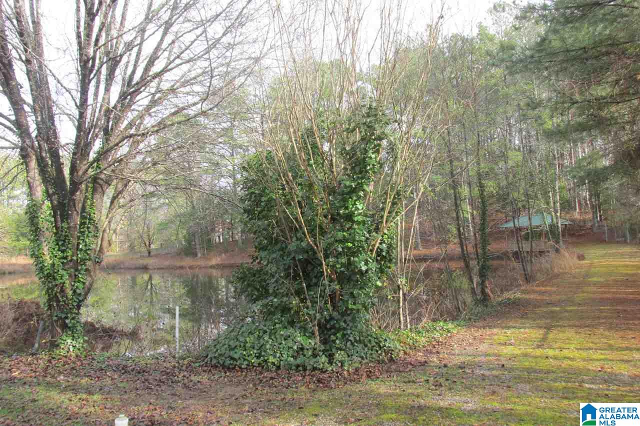 3764 New Liberty Road Wellington, AL 36279 - Photo 18 of 23 Gallery Image 18