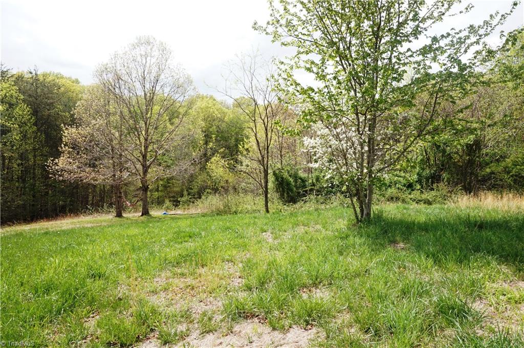 1170 Deer Chase Road Madison, NC 27025 - Photo 27 of 28 PRIVATE YARD WITH FLOWERING TREES! WITH A LITTLE GROOMING & CARE, THIS COULD BE A GORGEOUS PIECE OF LAND!