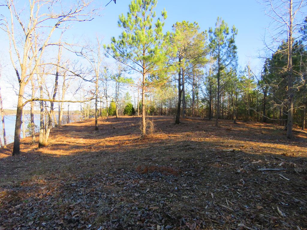 107 Long Point Road Hodges, SC 29653 - Photo 11 of 25