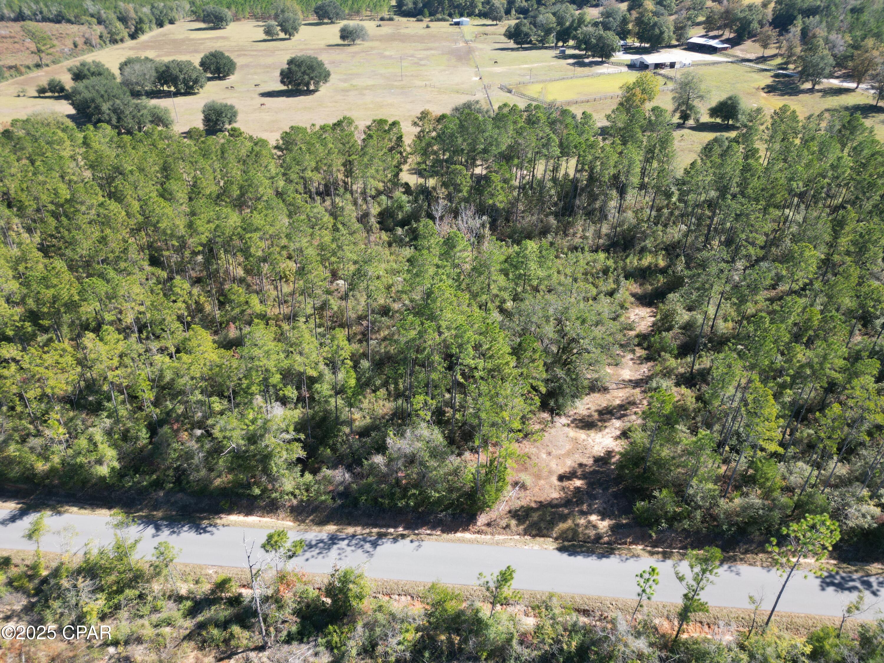 0 Gainer Road Chipley, FL 32428 - Photo 11 of 26