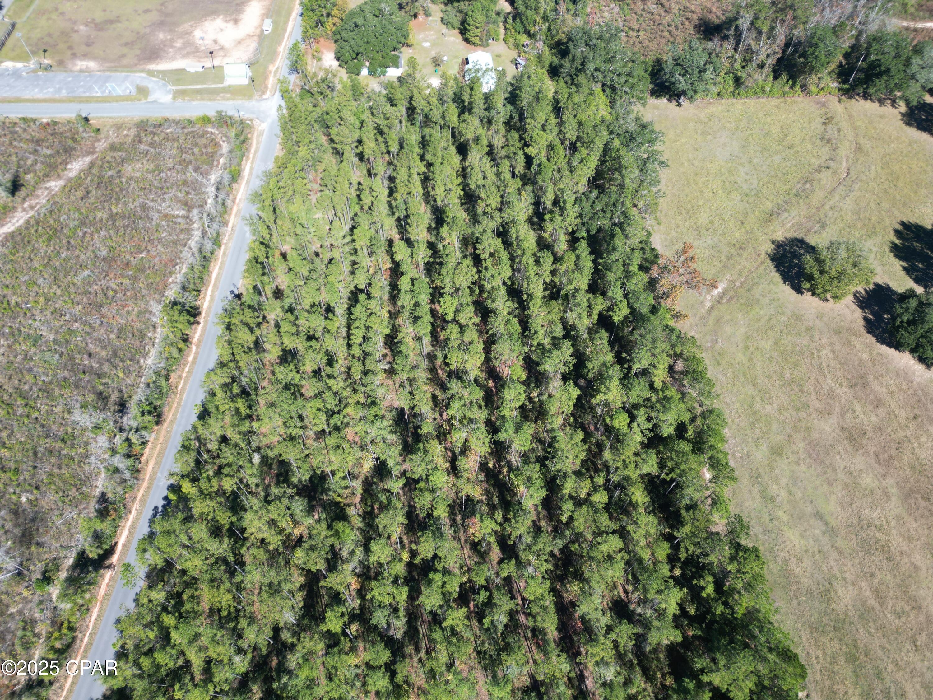 0 Gainer Road Chipley, FL 32428 - Photo 12 of 26