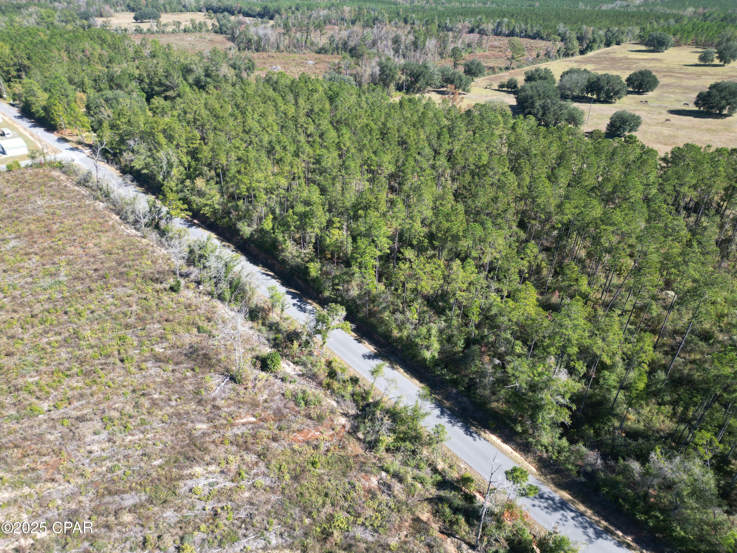 0 Gainer Road Chipley, FL 32428 - Photo 13 of 26